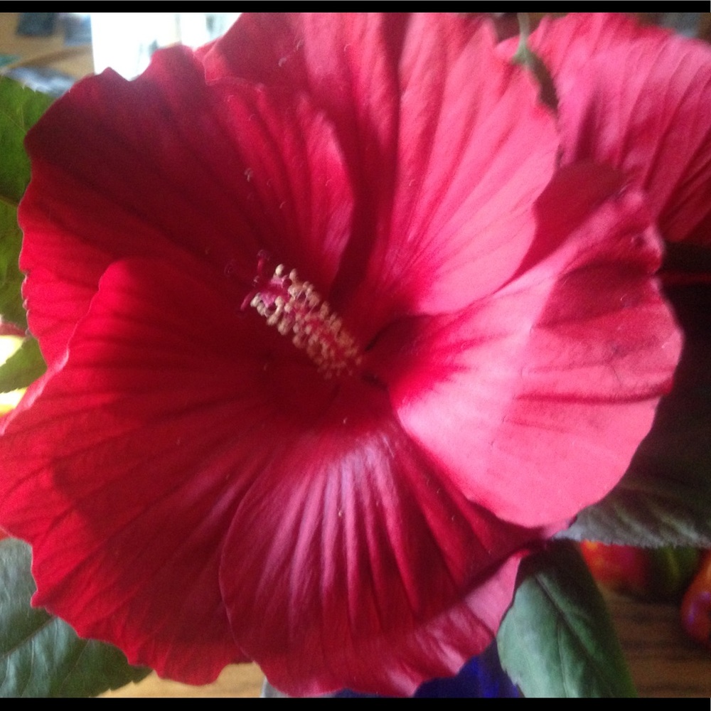 Meet your Posher, Kat